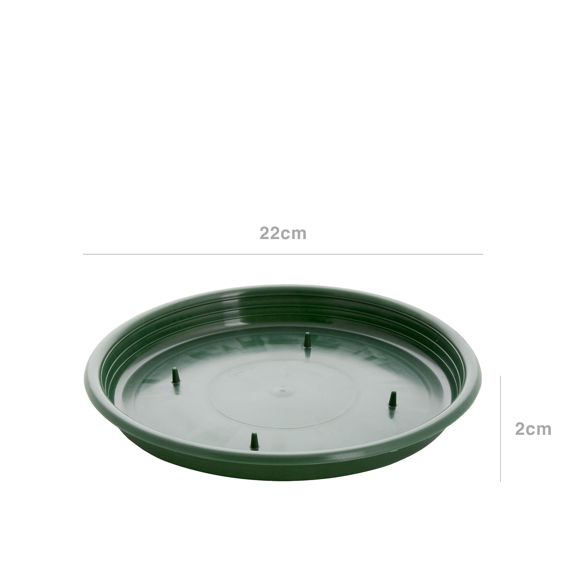 Tabuleiro para Esponja Redondo Verde 22X2cm