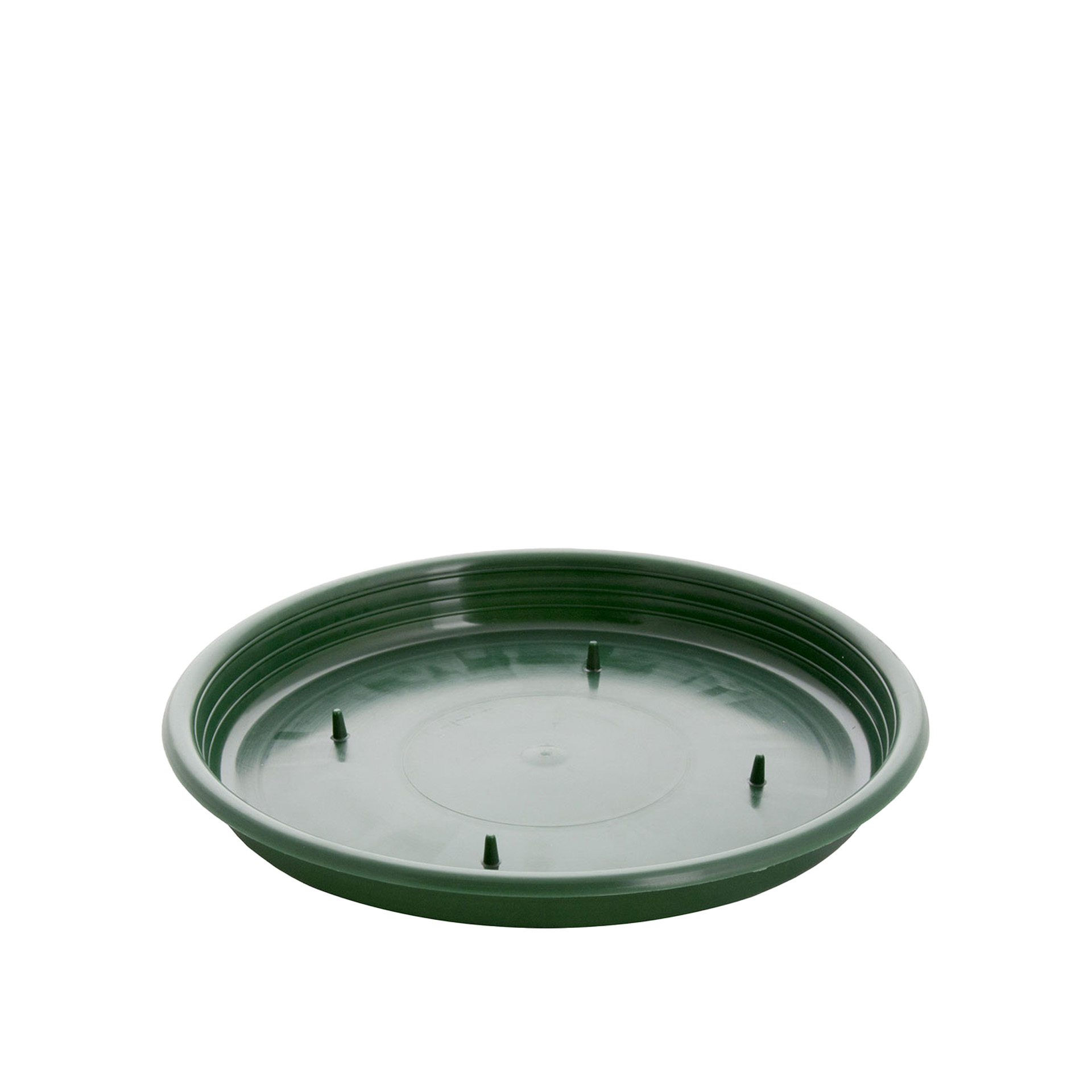 Tabuleiro para Esponja Redondo Verde 22X2cm