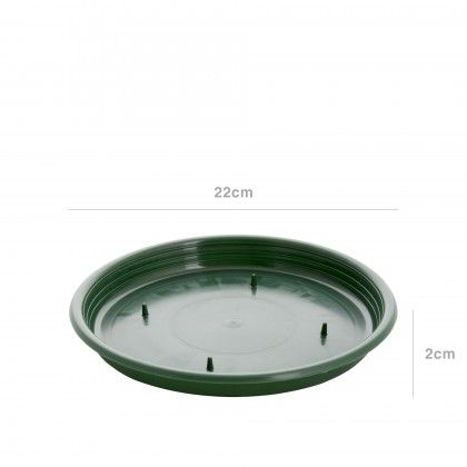Tabuleiro para Esponja Redondo Verde 22X2cm