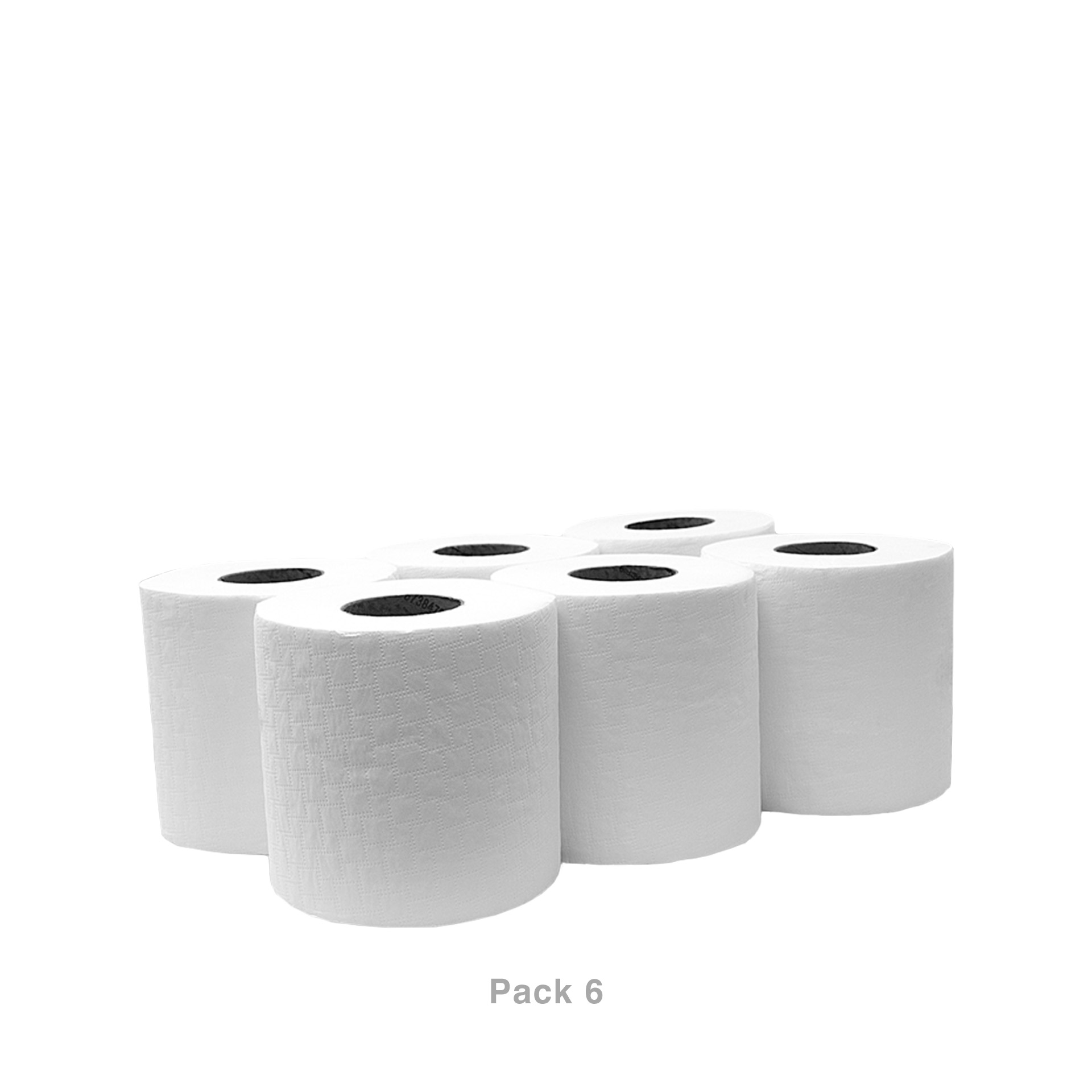 Rolo Papel Multiusos Profissional 300 Serviços 90m Pack 6