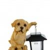 Figura Resina Led Solar 17.5X14X24cm