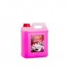 Champ Automvel 2000ml