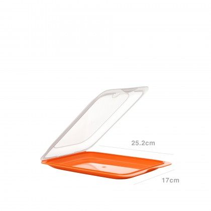 Caixa Hermtica Tatay Fresh Porta Charcutaria 25.2X17X3.2cm