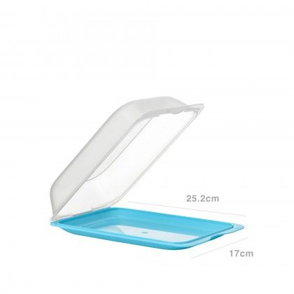 Caixa Hermtica Tatay Fresh Porta Charcutaria 25X17X6cm