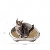 Caixa para Areia Gato Arena 57X40X19cm