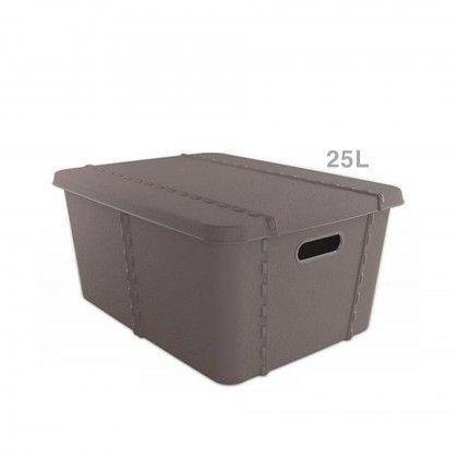 Caixa Plstica Vision 25L