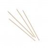 Palito Bambu Biodegradvel 2.5X250mm Pack 100
