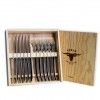 Faqueiro Inox Texas 4mm 12 Peas