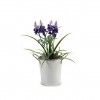 Balde Metal Fio Prata 800ml 30.5X23X19.5cm