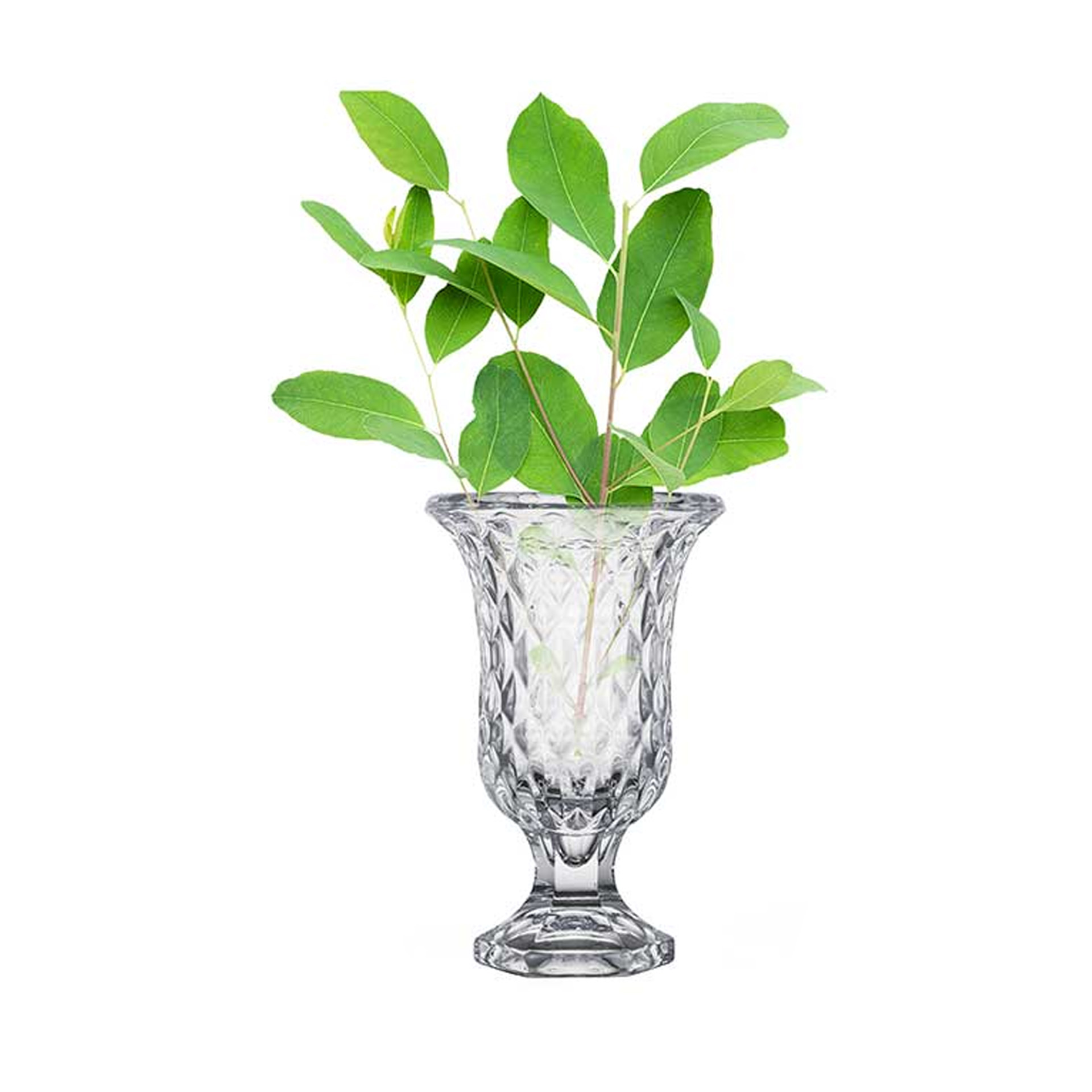 Jarra Vidro com Pé Diamante 23.5cm