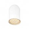 Campnula Decorativa Vidro Base Madeira 20X30cm