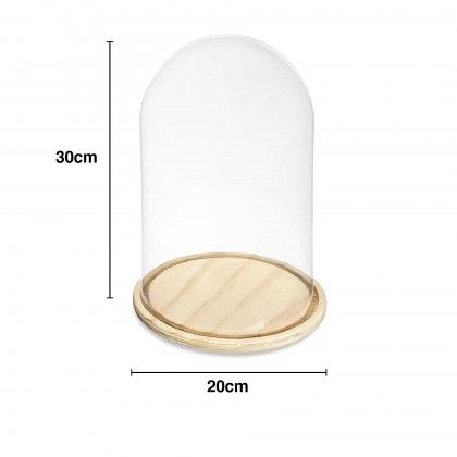 Campnula Decorativa Vidro Base Madeira 20X30cm
