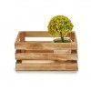 Caixa Decorativa Madeira Natural 20X13X9cm