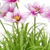 Vaso Planta Artificial Flores Redondo 18X23cm