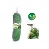 Rede Anti-Pssaros Verde 2X5m