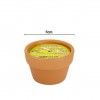 Vela Citronela Vaso Terracota Redondo 7cm