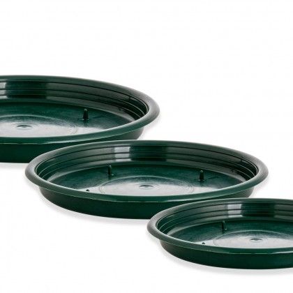 Tabuleiro para Esponja Redondo Verde 22X2cm