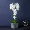 Orqudea Artificial com Vaso 60cm