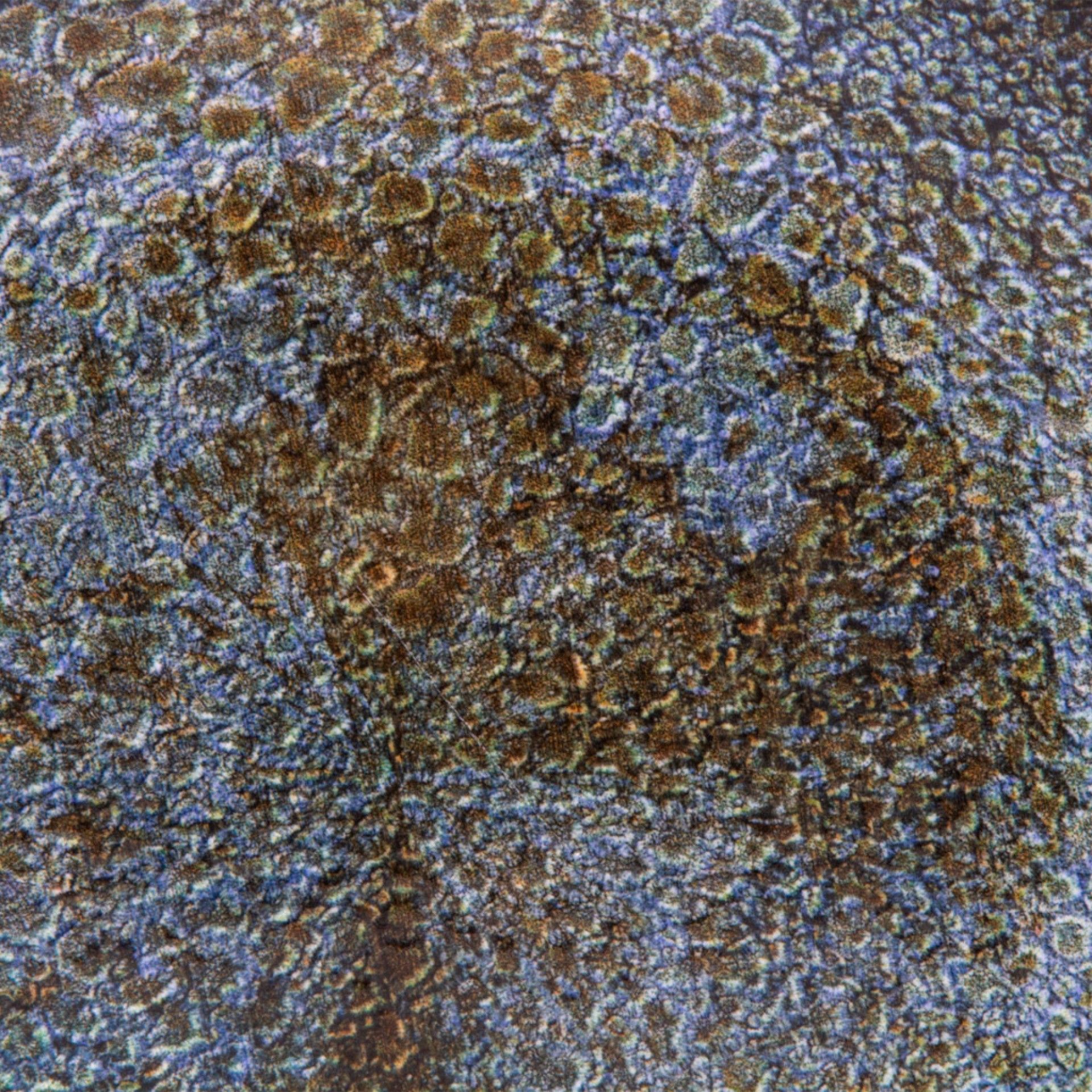 Prato Raso Vessia Azul 26.5X2.5cm