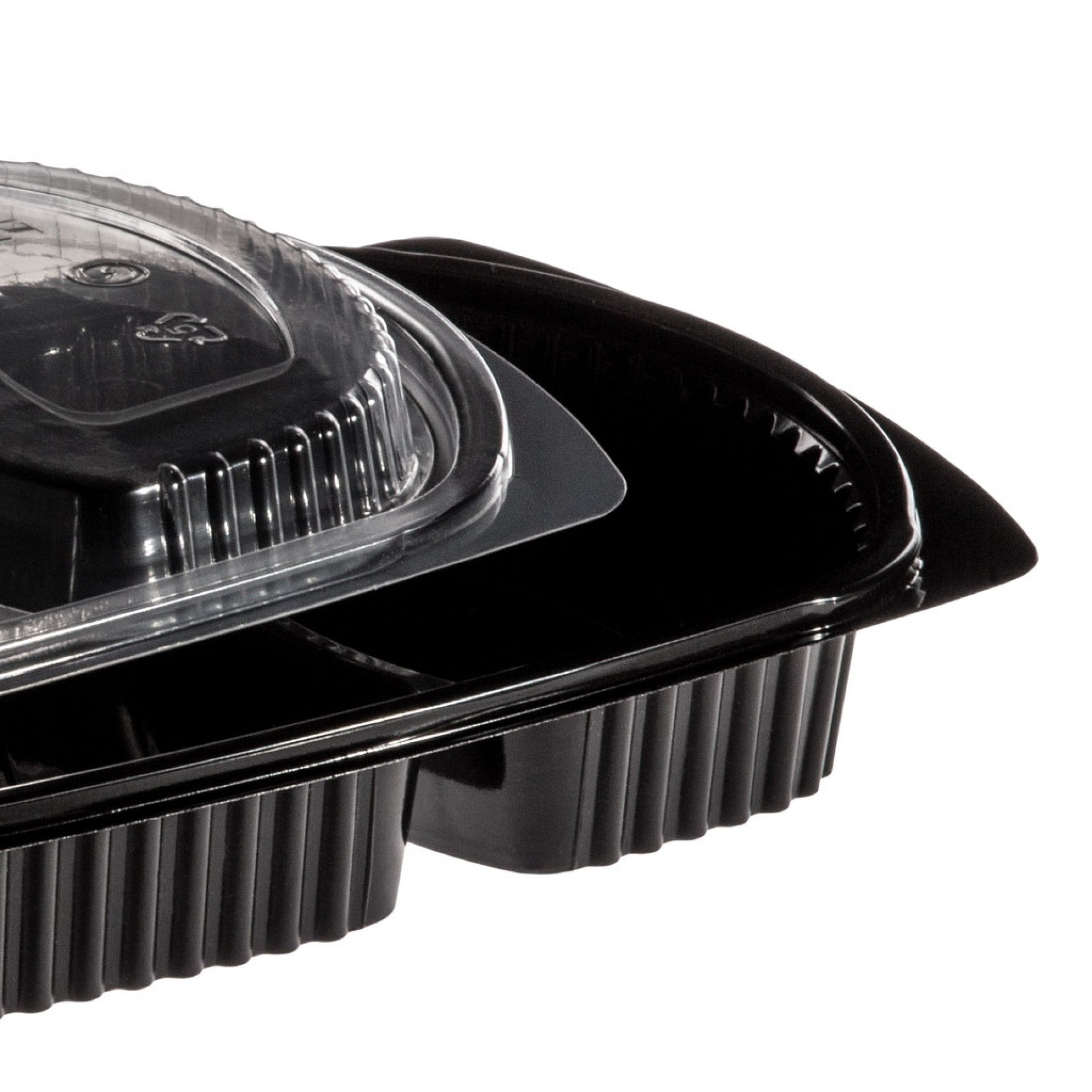 Caixa Take Away Tampa 2 Divisões 26X18.5X2.5cm Pack 101