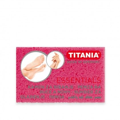 Esponja Pomes Titania 10X5X2.5cm