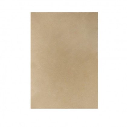 Folha Cartolina Sirio Sadipal A2 Terra 50X65cm Folha Cartolina Sirio Sadipal A2 Terra 50X65cm