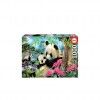 Puzzle Educa 1000 Pe�as Ursos Panda