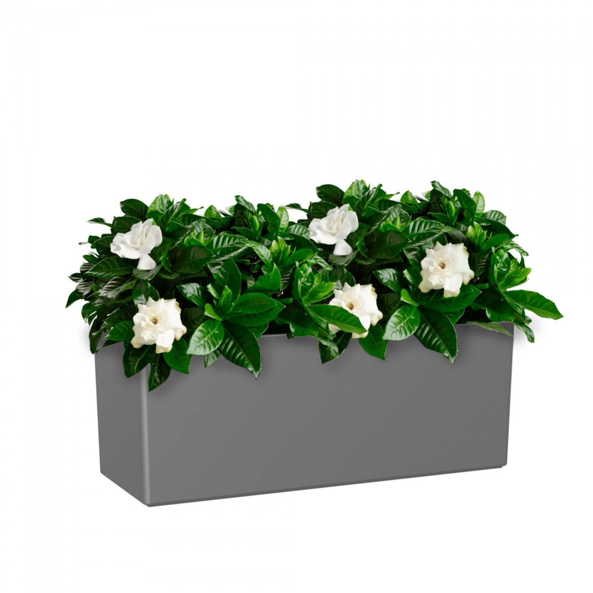 Floreira Rimini 51X20X20cm 17L Antracite