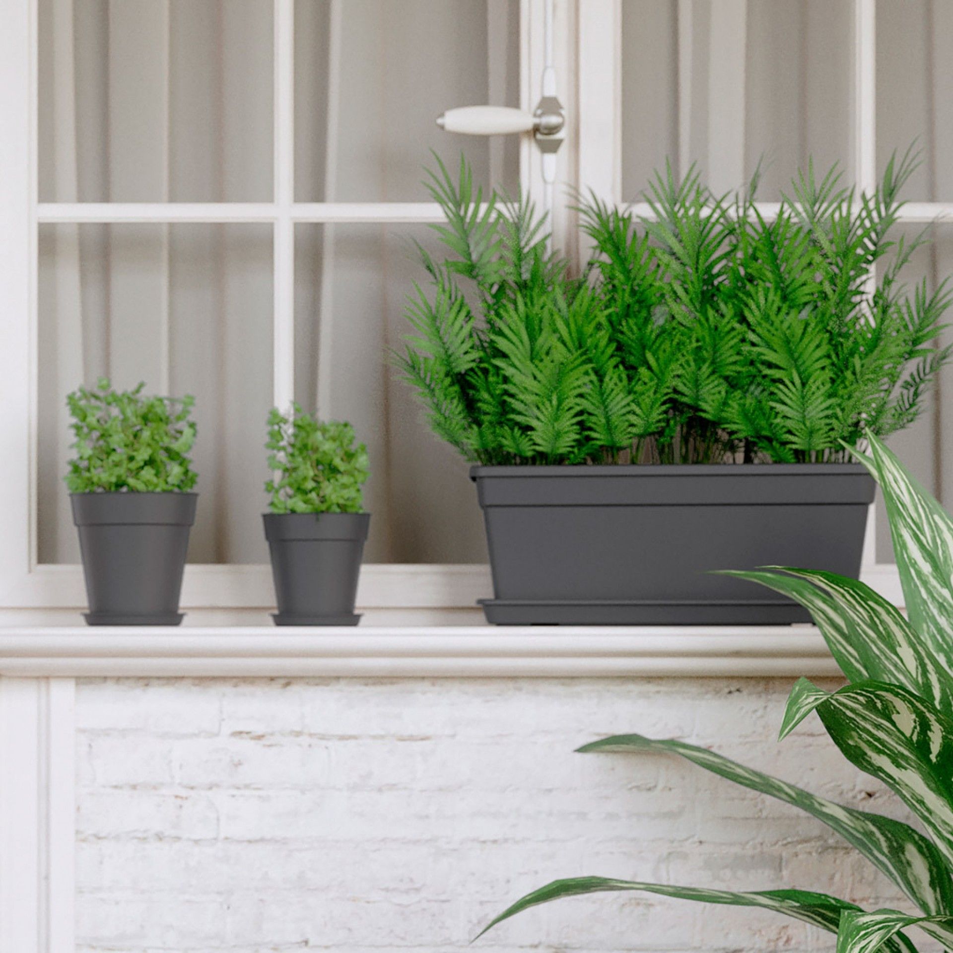 Floreira Madagascar 39.1X17X14.1cm 6L 6L Antracite