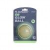 Brinquedo Pet Dashi Verde