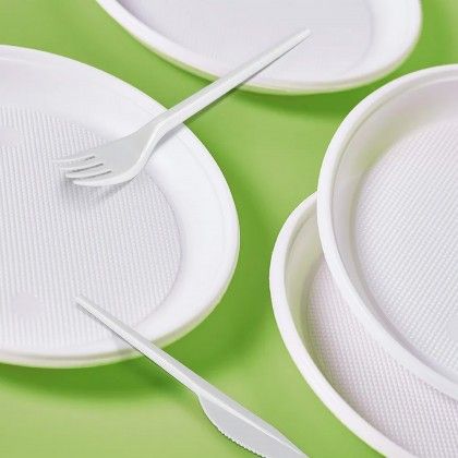 Prato Plstico Reutilizvel Raso Branco 17cm Pack 12