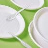 Prato Plstico Reutilizvel Raso Branco 17cm Pack 12