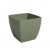 VERDE SECO