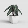 Vaso Siena Mate Branco 30cm