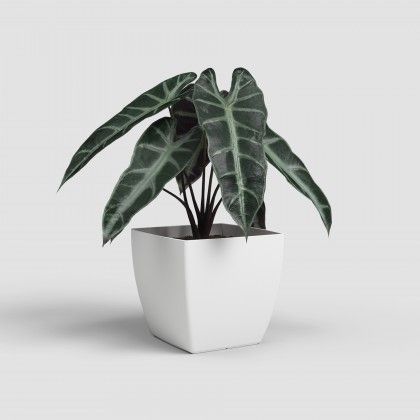 Vaso Siena Mate Branco 30cm