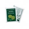 Toalhitas Refrescantes Limo 10X20cm Pack 100
