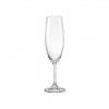 Copo com P Lara Flute 22cl Pack 6