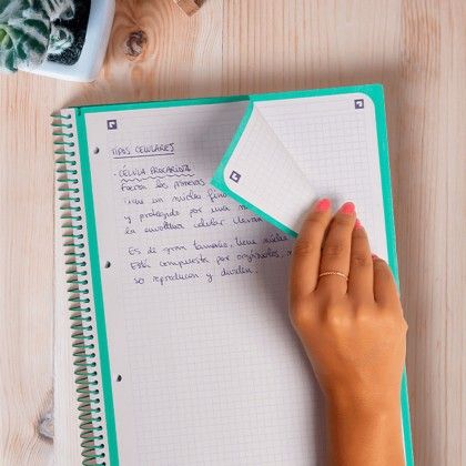 Caderno Espiral Capa Dura Oxford School A4 80 Folhas Quadriculado Cor viva