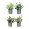 Vaso Planta Artificial Planta Verde Sortida 10X18cm