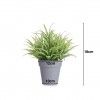 Vaso Planta Artificial Planta Verde Sortida 10X12X18cm Vaso Planta Artificial Planta Verde Sortida 10X12X18cm