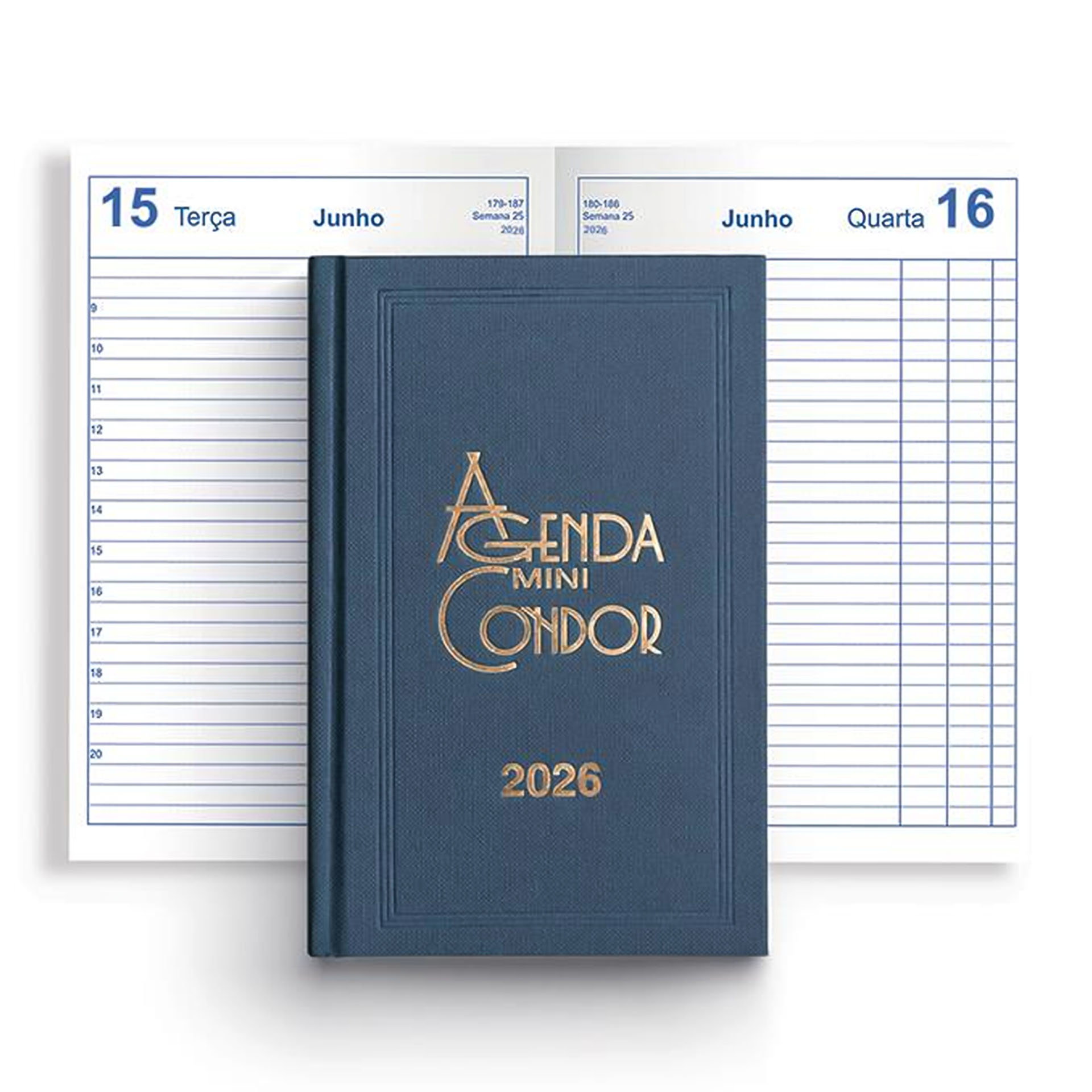 Agenda Diária 2026 Mini Condor Azul10X16cm