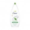 Gel Banho Dove Fresh Care 720ml