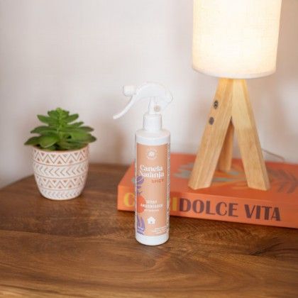Ambientador Spray Canela / Laranja 300ml