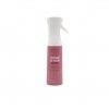 Aromatizador Spray Royal Garden 300ml Aromatizador Spray Royal Garden 300ml
