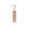 Ambientador Spray Canela / Laranja 300ml Ambientador Spray Canela / Laranja 300ml
