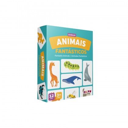 Jogo Evolui Animais Cartão Jogo Evolui Animais Cartão