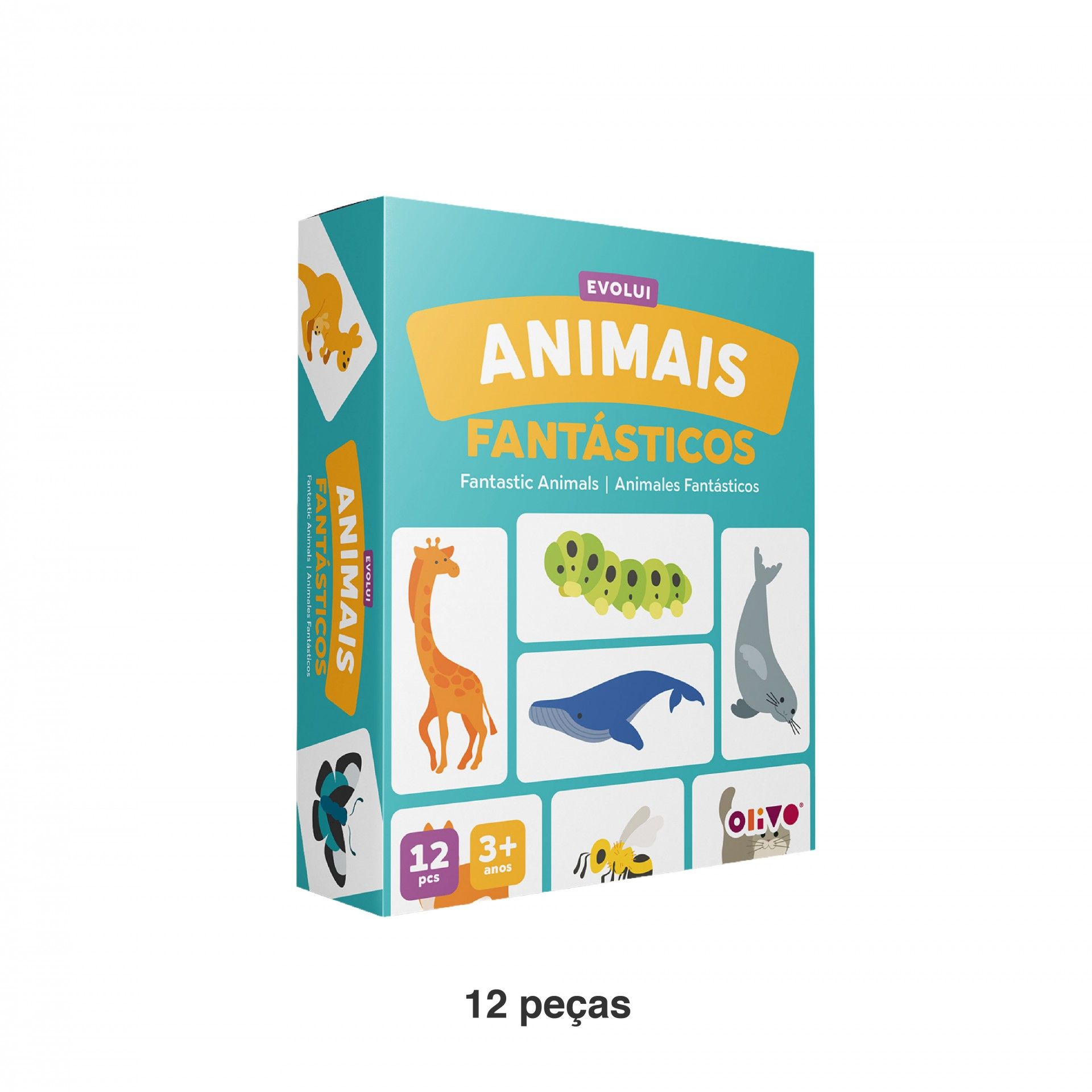 Jogo Evolui Animais Cartão