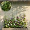 Rede De Plantas Trepadoras 2X10m