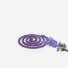 Espiral Aroma De Lavanda 13cm Espiral Aroma De Lavanda 13cm