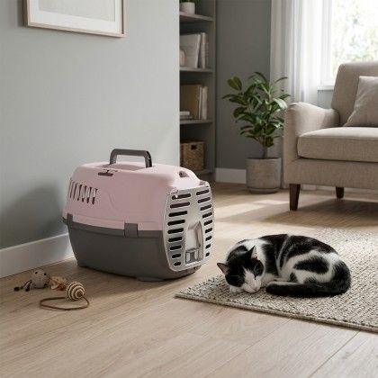 Caixa Transporte Animal Rosa 48X34X32cm Caixa Transporte Animal Rosa 48X34X32cm